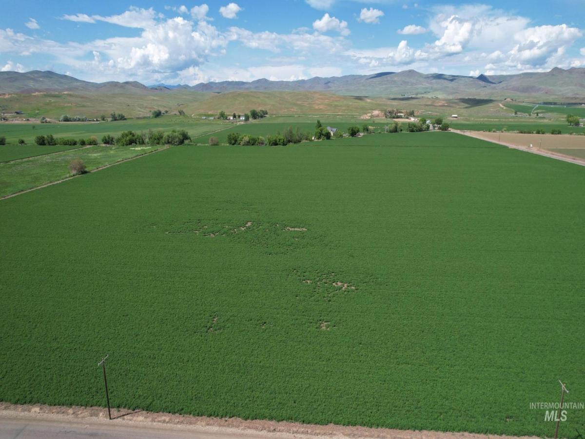 MLS #98882054 image #0