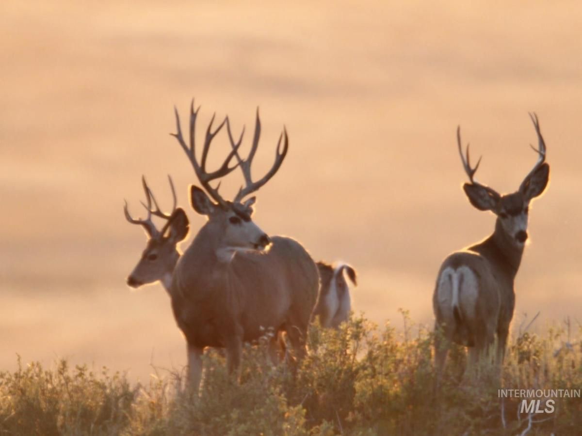 MLS #98916793 image #0