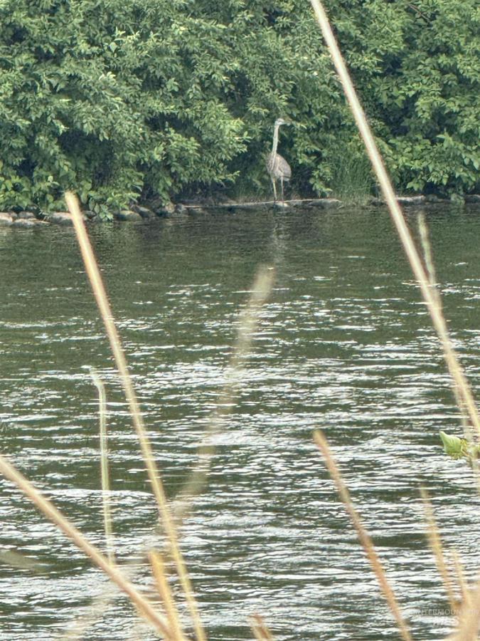 MLS #98920829 image #0