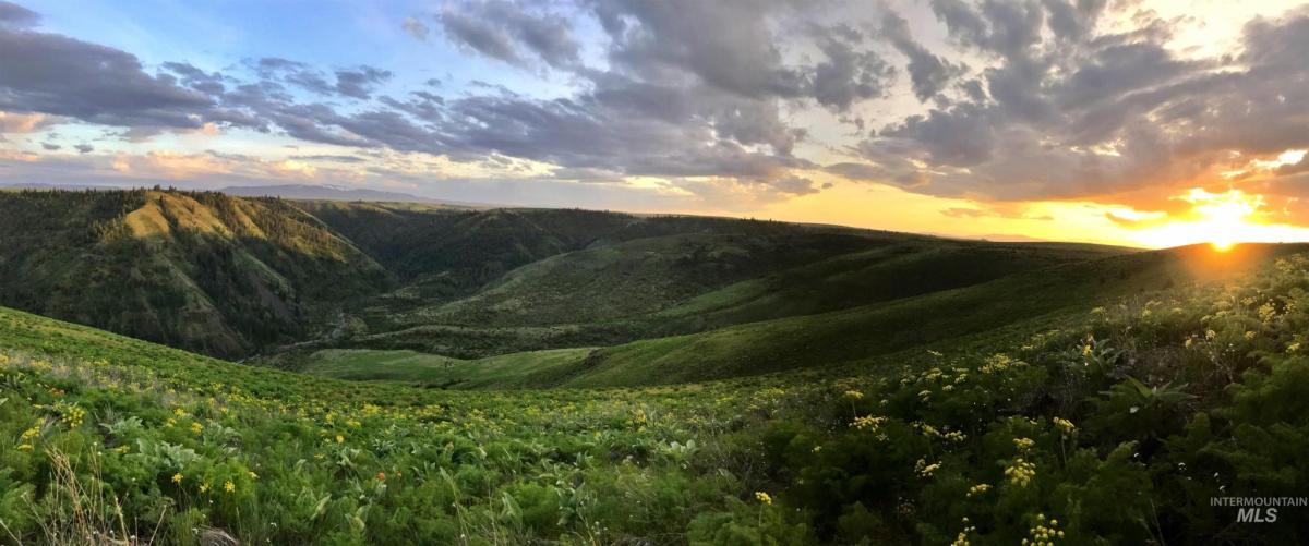 MLS #98927833 image #0