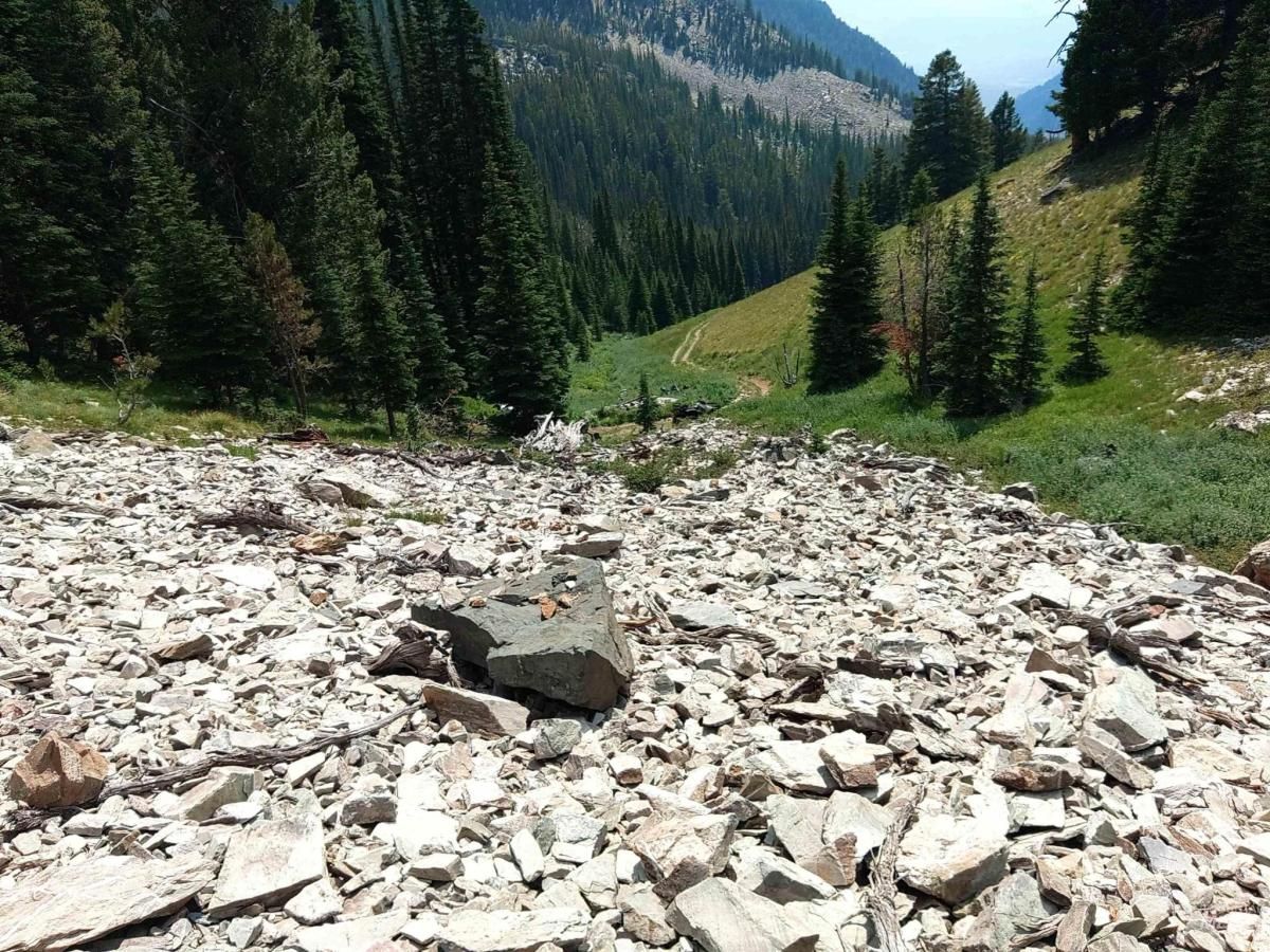 MLS #98930860 image #0