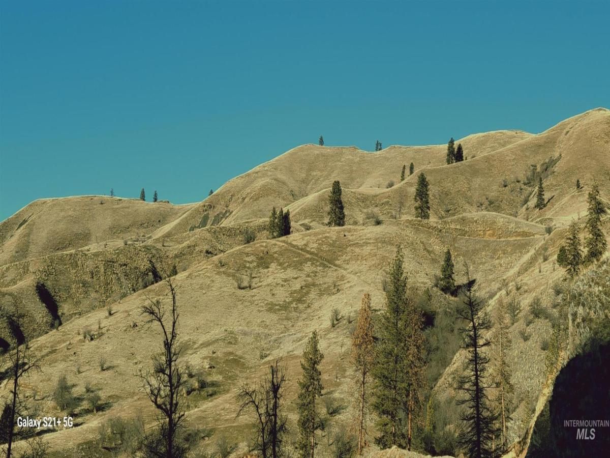 MLS #98937343 image #0