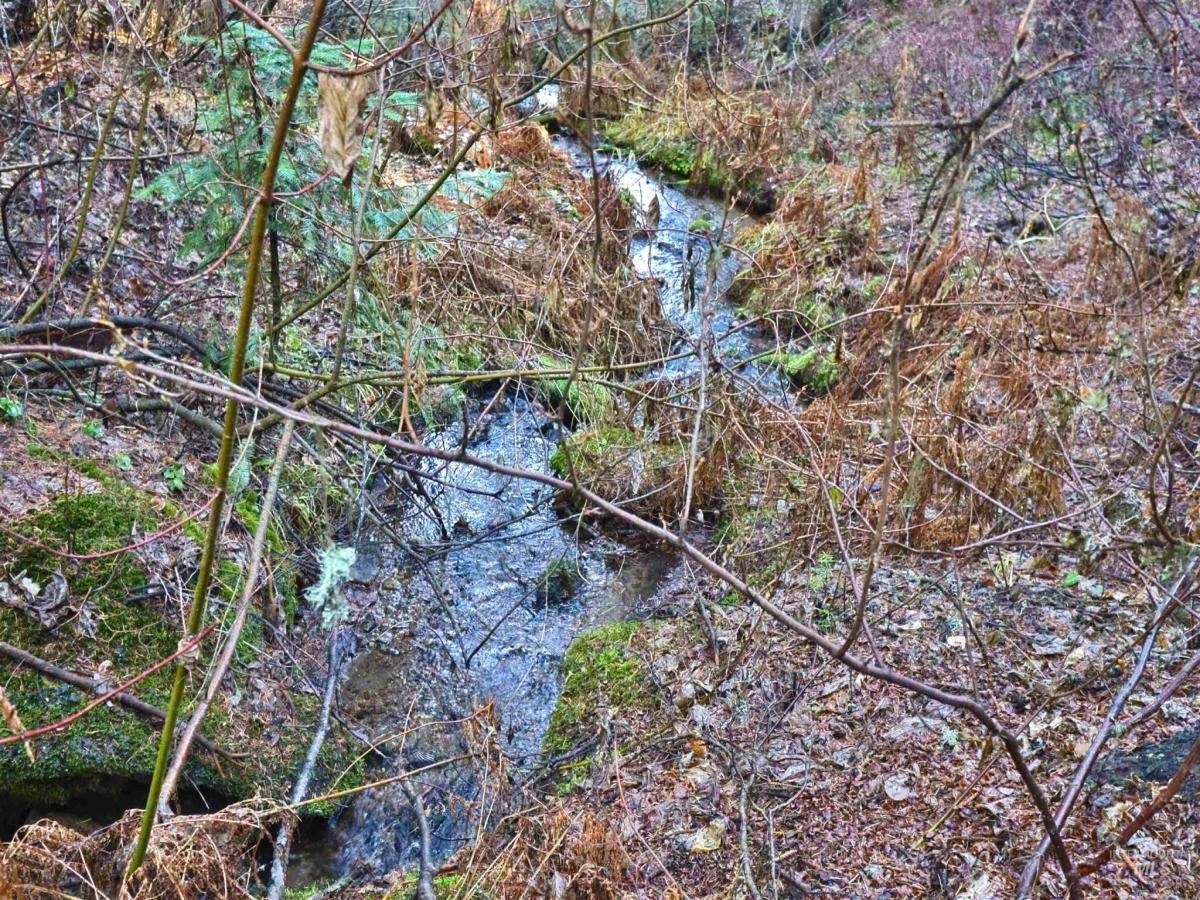 MLS #98948772 image #0