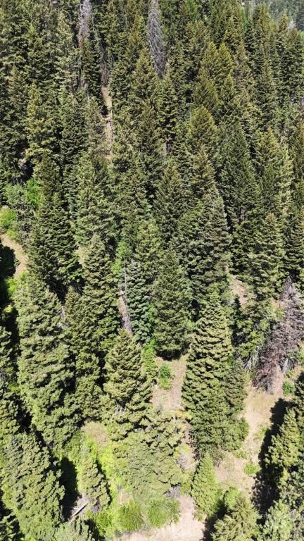 MLS #98949285 image #0