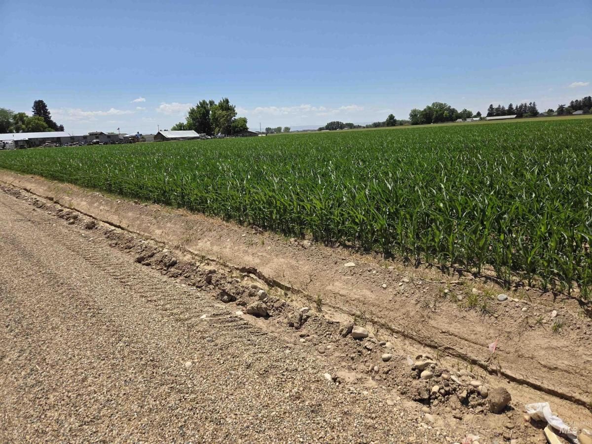 MLS #98951342 image #0