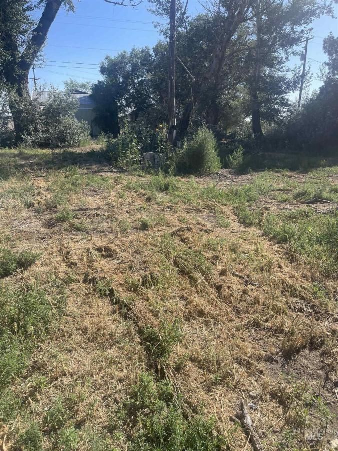 MLS #98954089 image #0