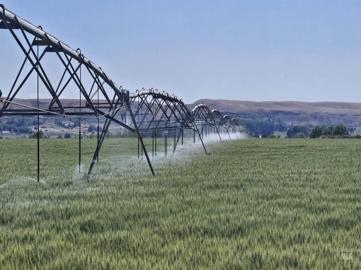 MLS #98957941 image #0