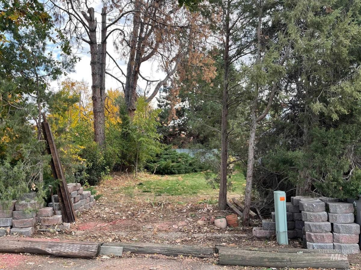 MLS #98958399 image #0