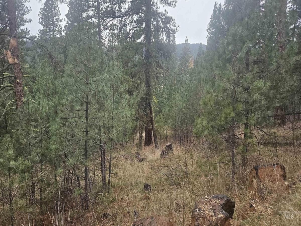 MLS #98967137 image #0