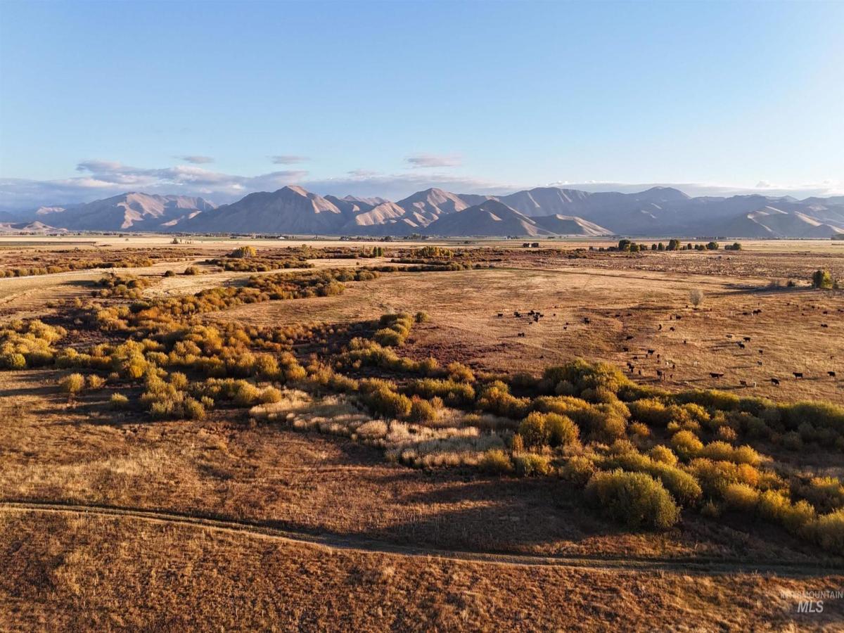 MLS #98967485 image #0