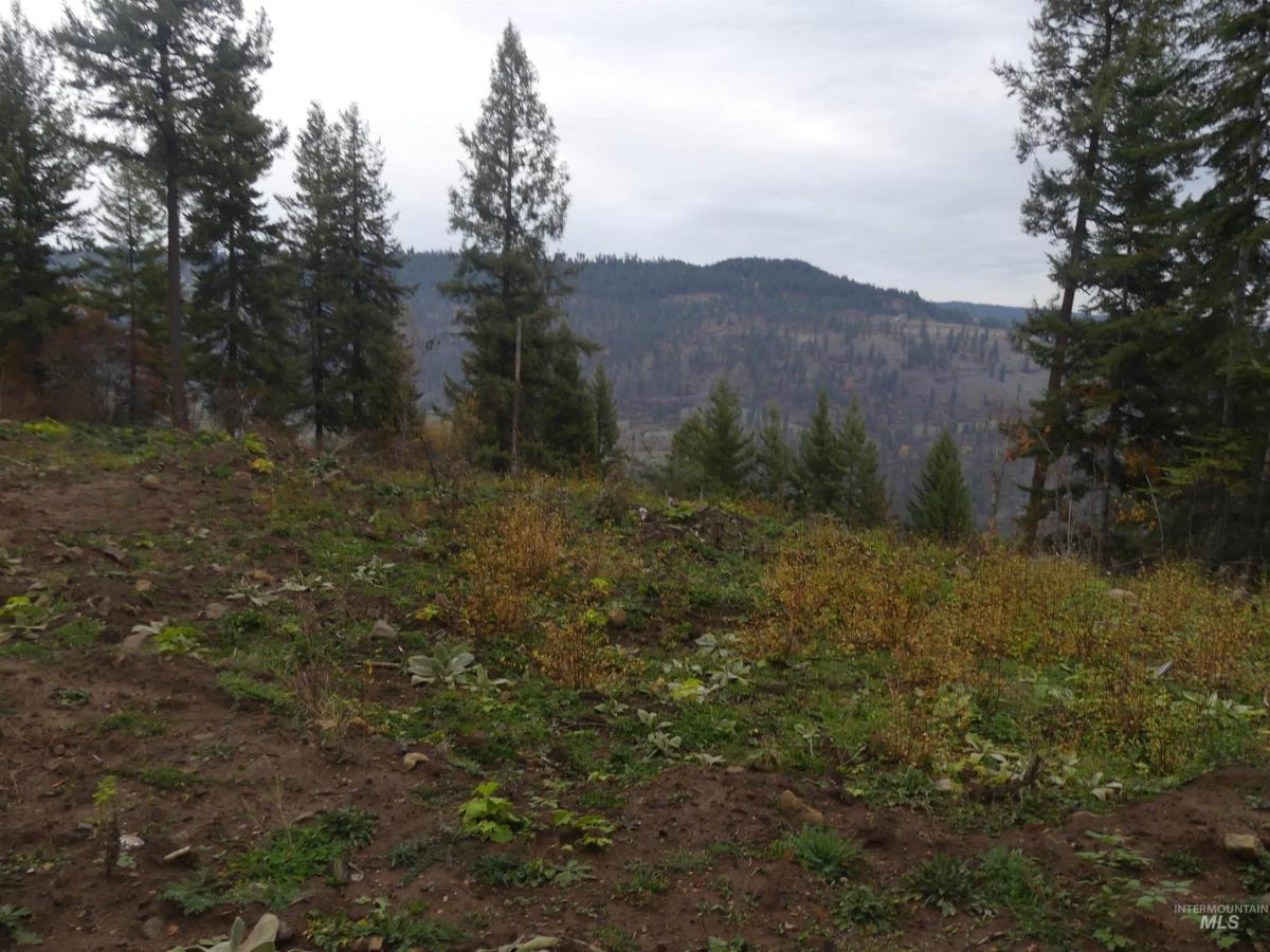 MLS #98967943 image #0