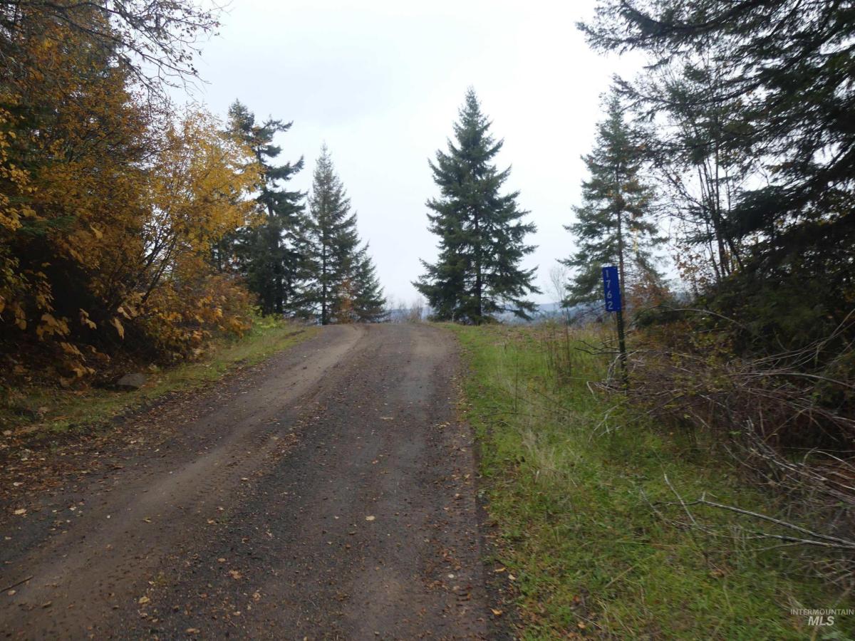 MLS #98968003 image #0