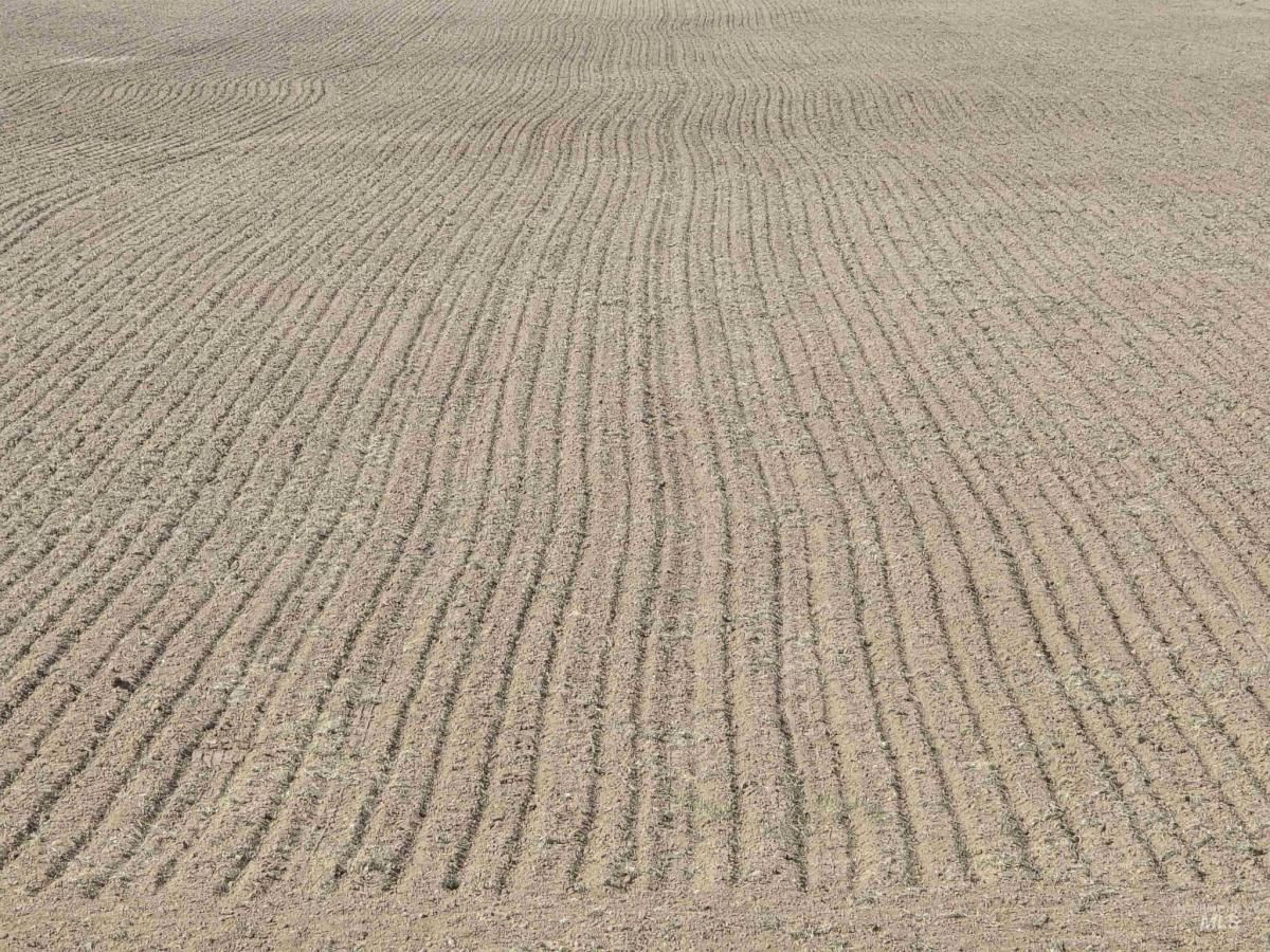 MLS #98969559 image #0