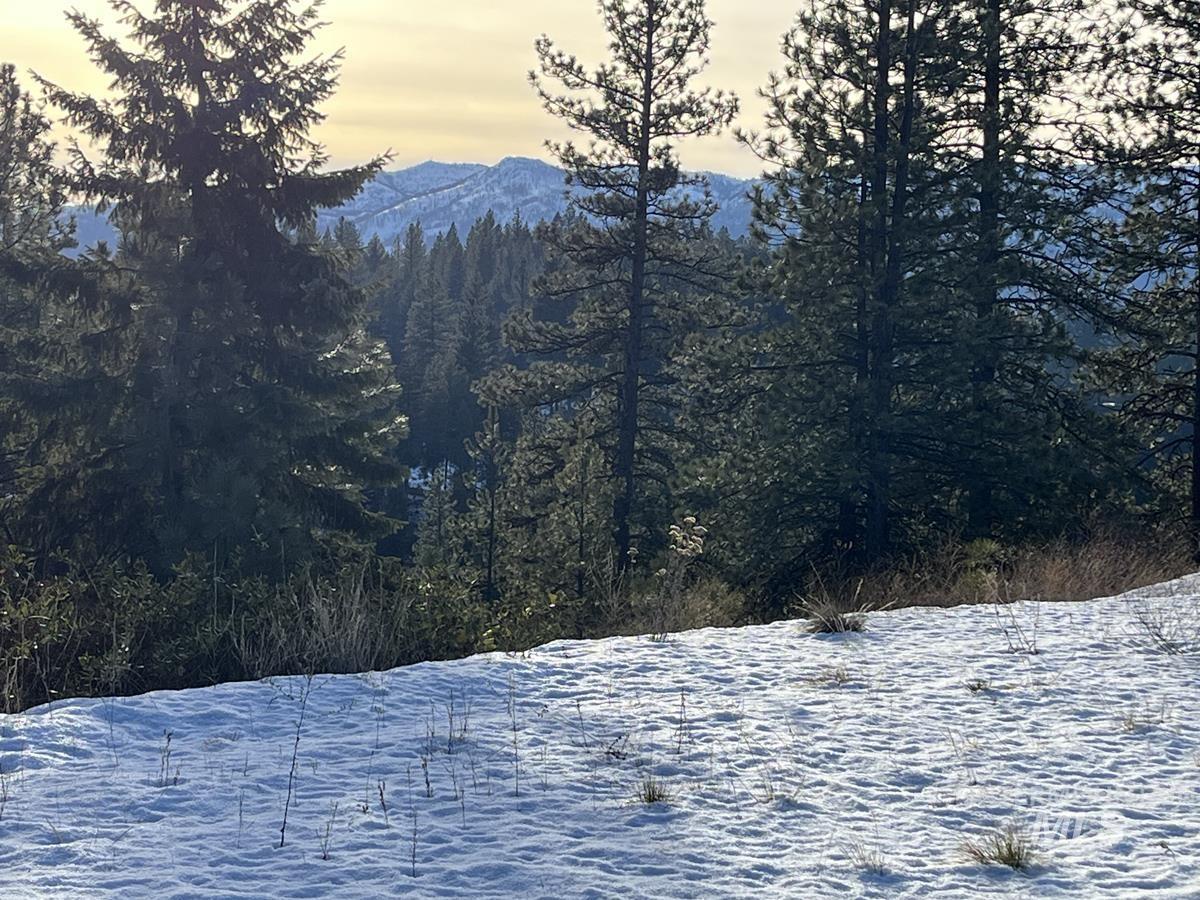 MLS #98970974 image #0