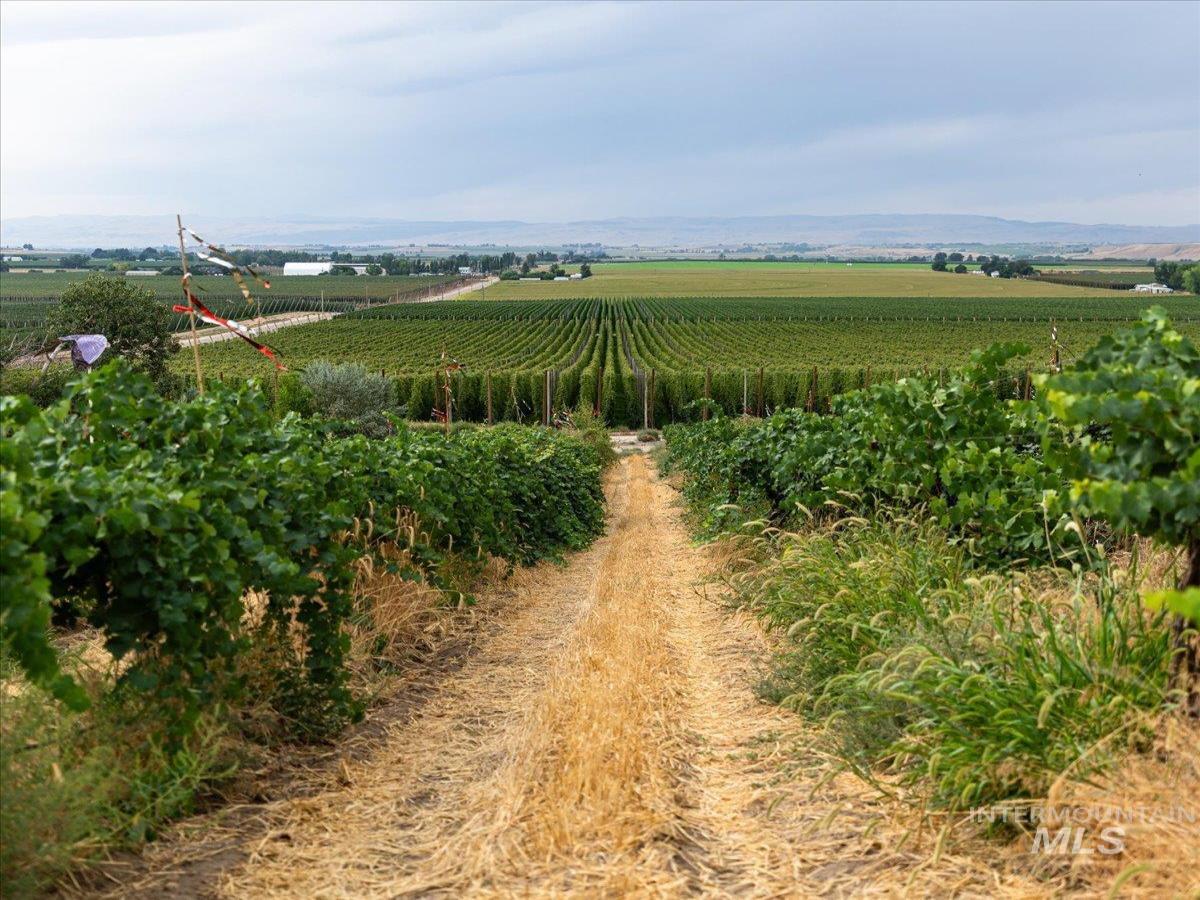 MLS #98976622 image #0