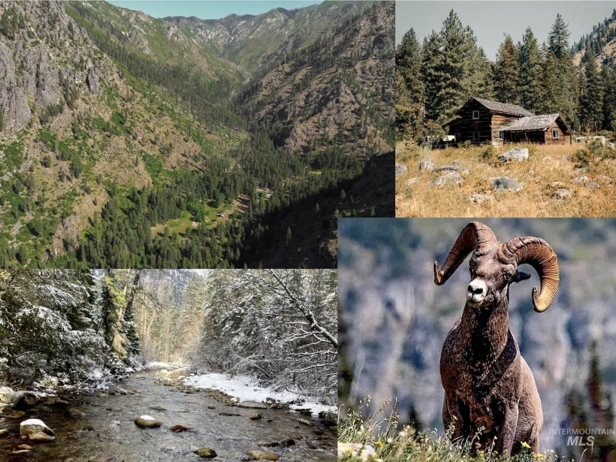 MLS #98978722 image #0