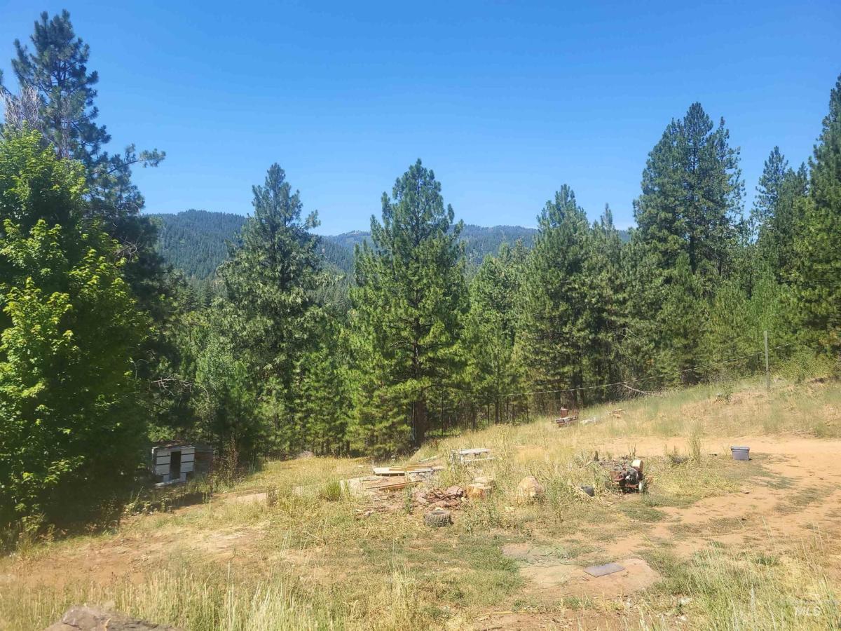 MLS #98978931 image #0