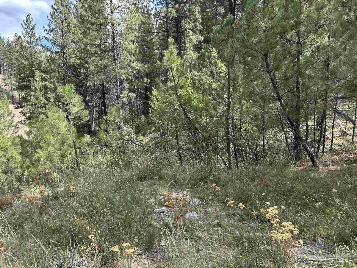 MLS #98979996 image #0