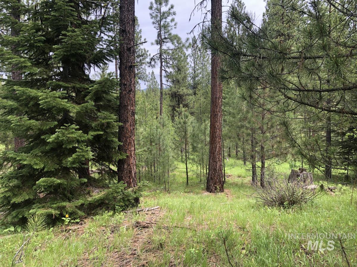 MLS #98980699 image #0