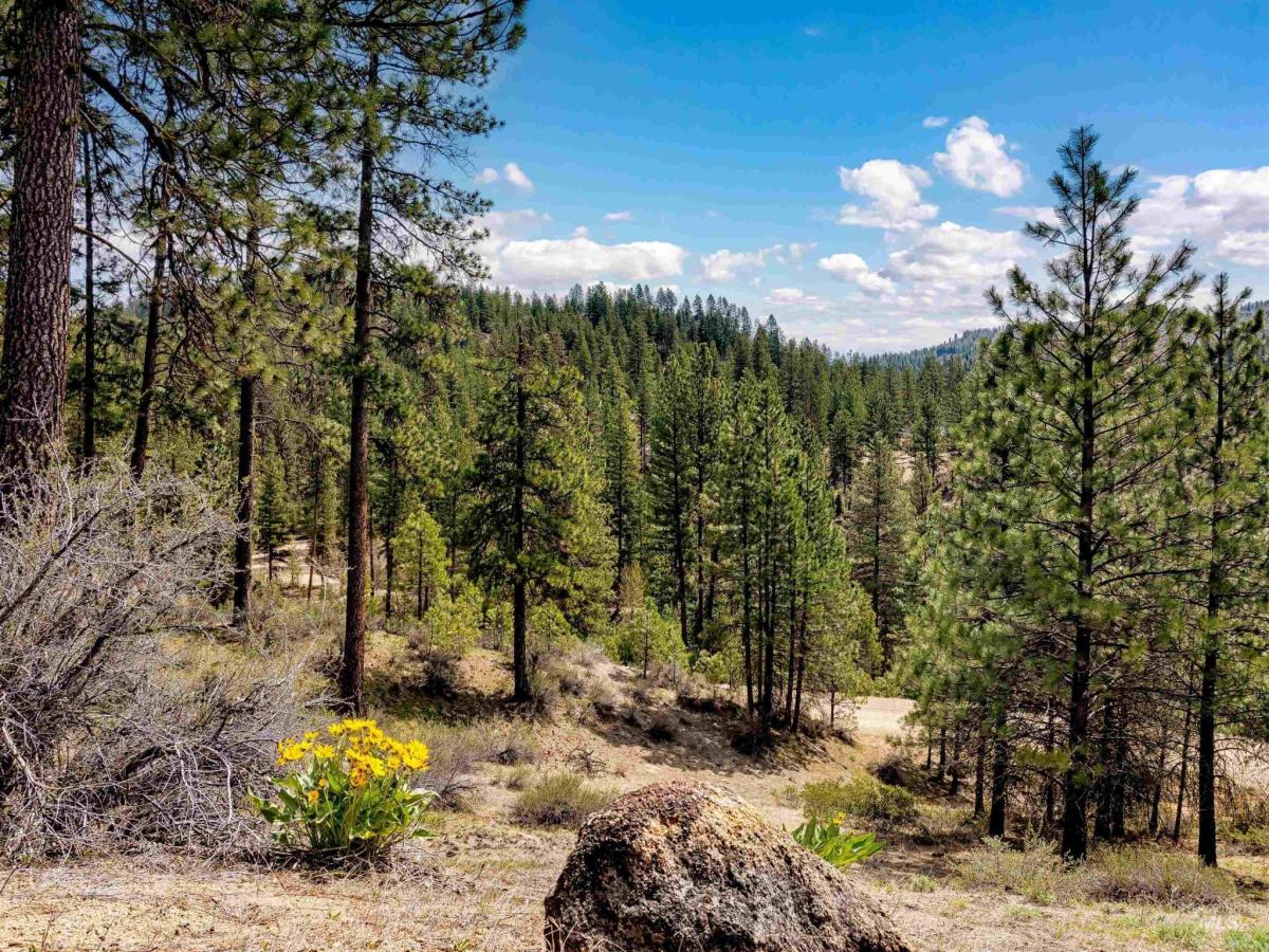 MLS #98980884 image #0