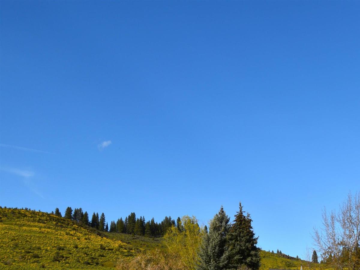 MLS #98981338 image #0