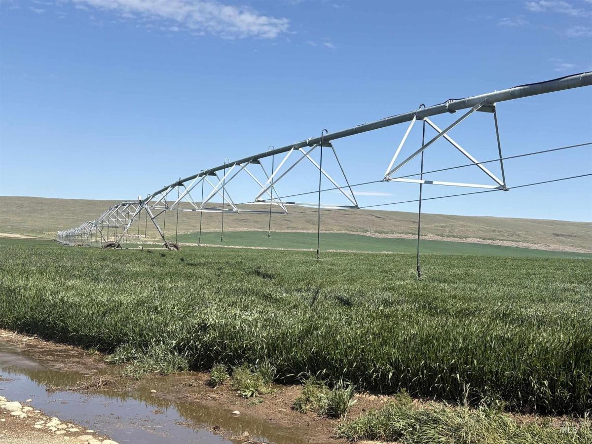 MLS #98981651 image #0