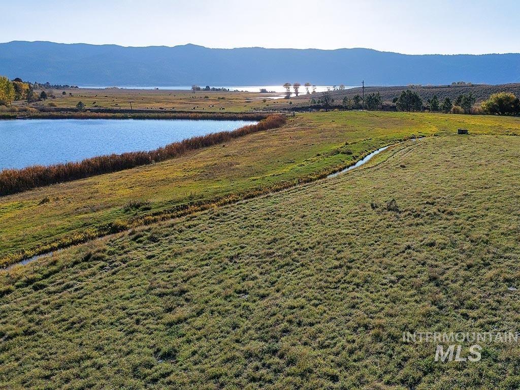 MLS #98981684 image #0