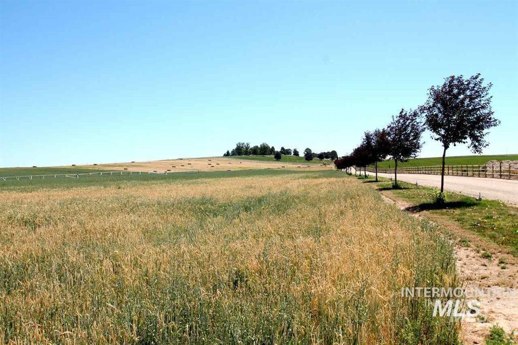 MLS #98981754 image #0