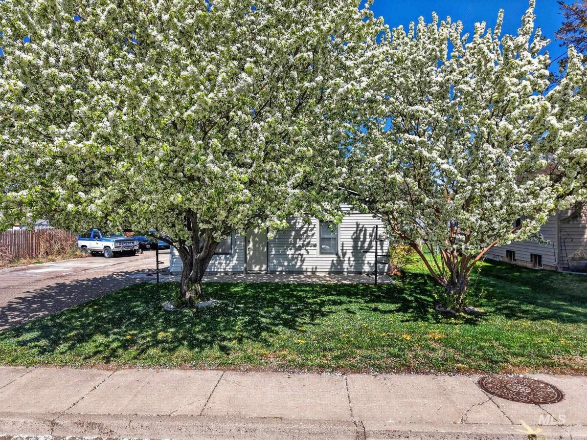 MLS #98983277 image #0