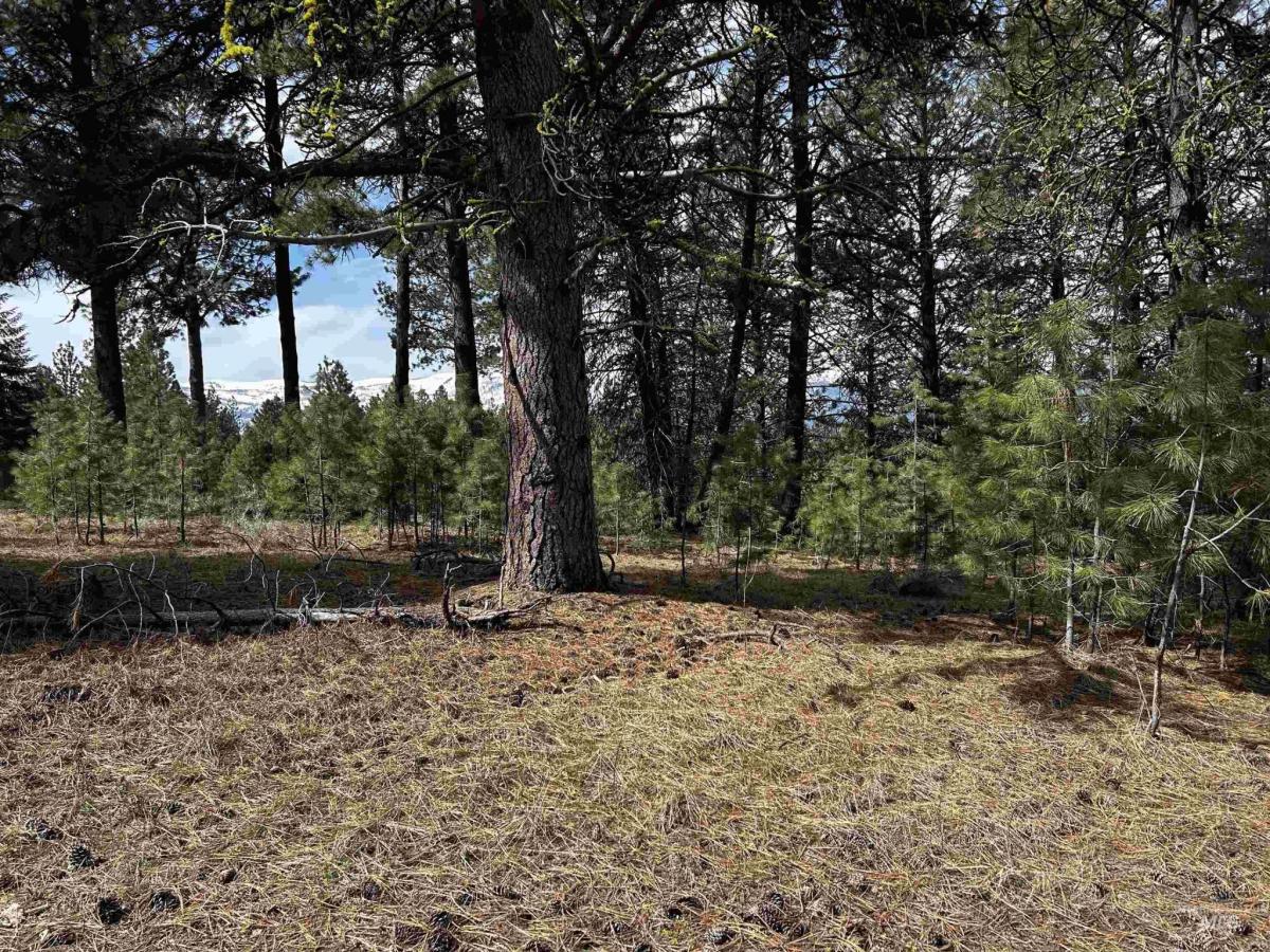 MLS #98984281 image #0