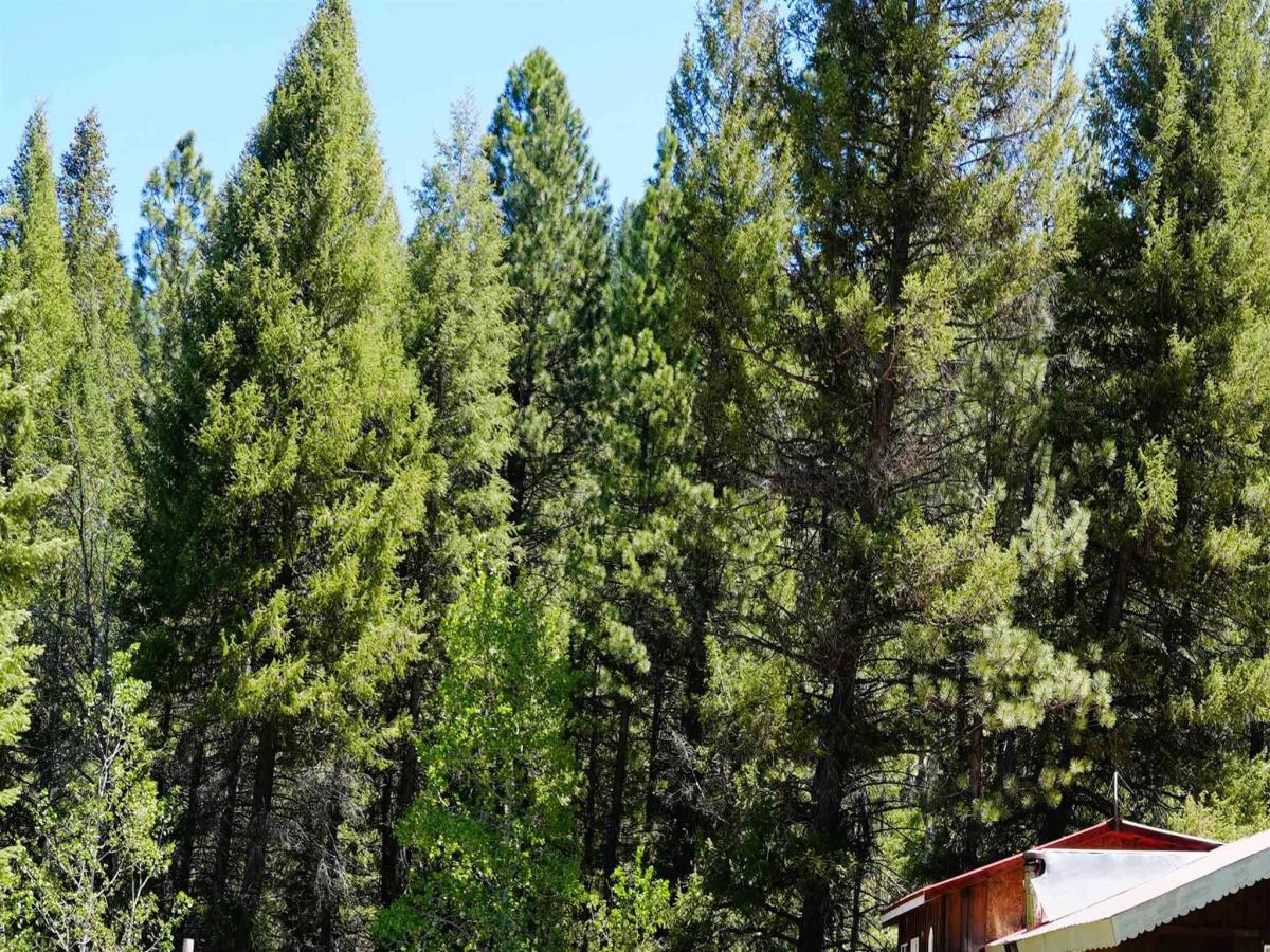 MLS #98987547 image #0