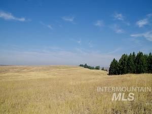 MLS #98988787 image #0