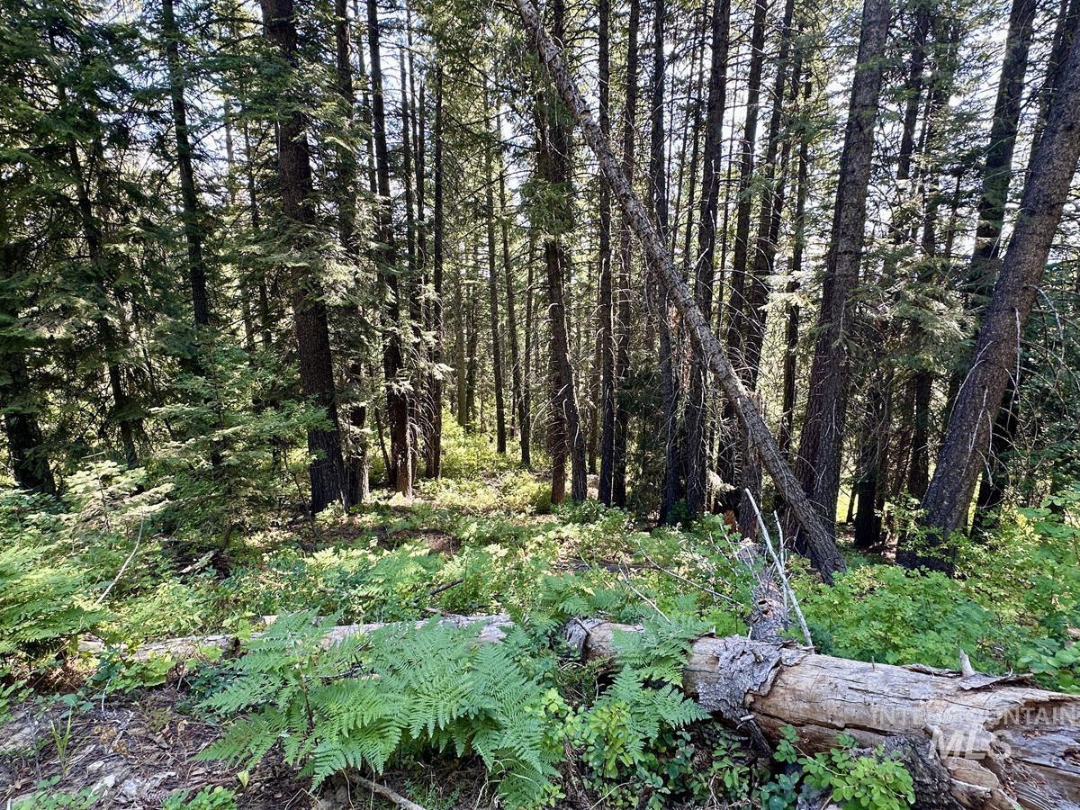 MLS #98991486 image #0