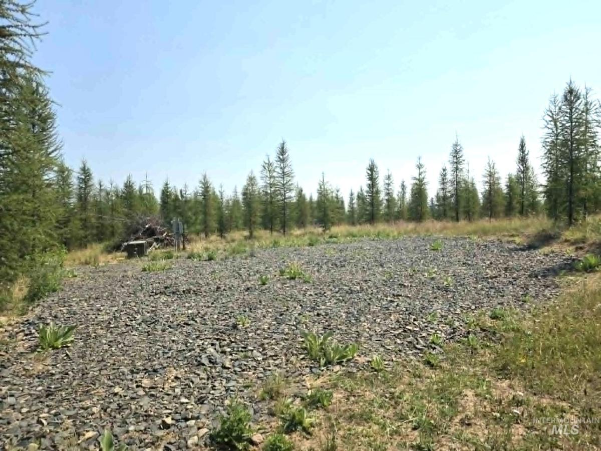 MLS #98996438 image #0