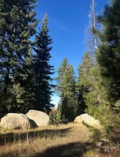 broker reciprocity