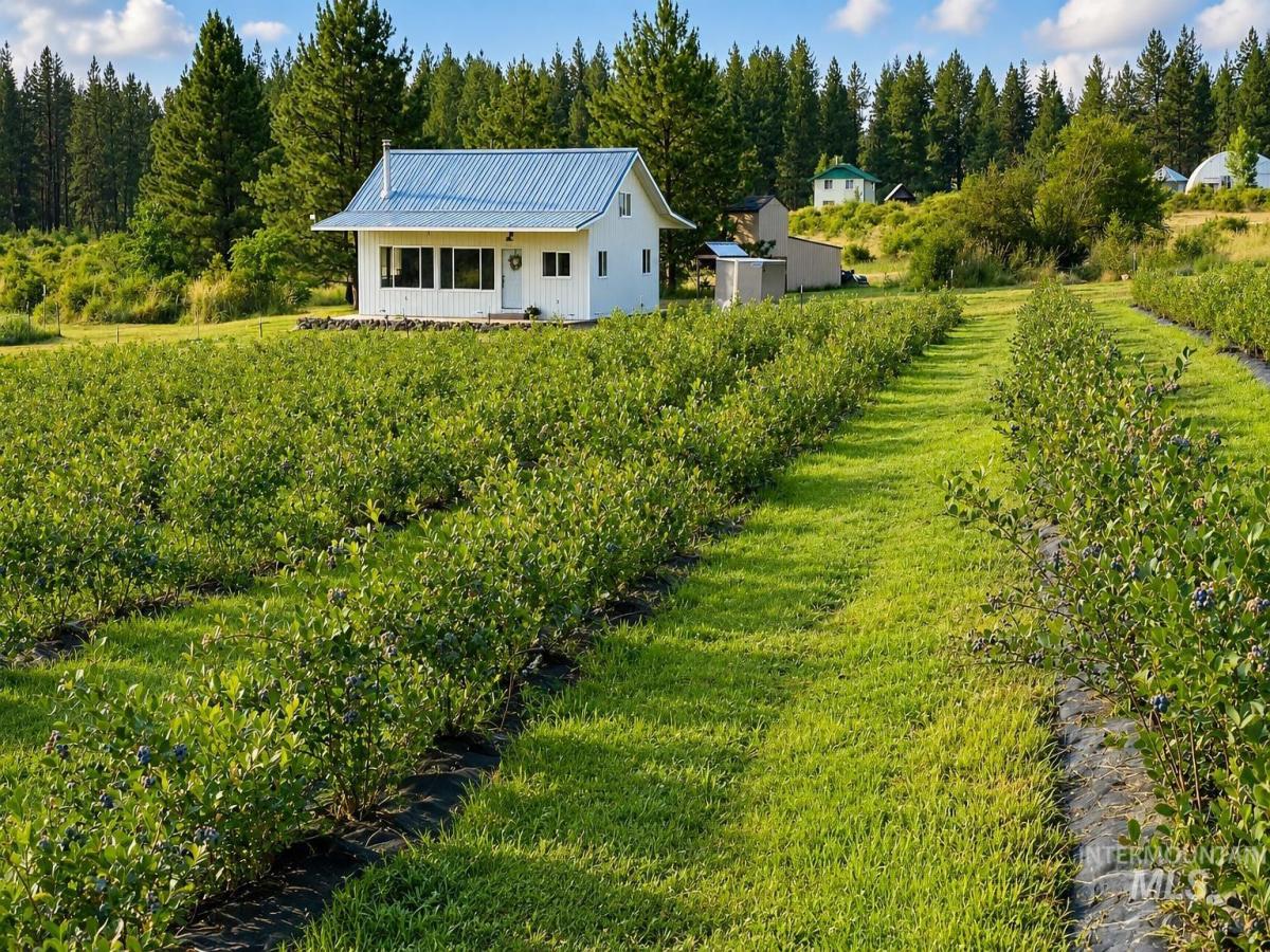 MLS #98997191 image #0