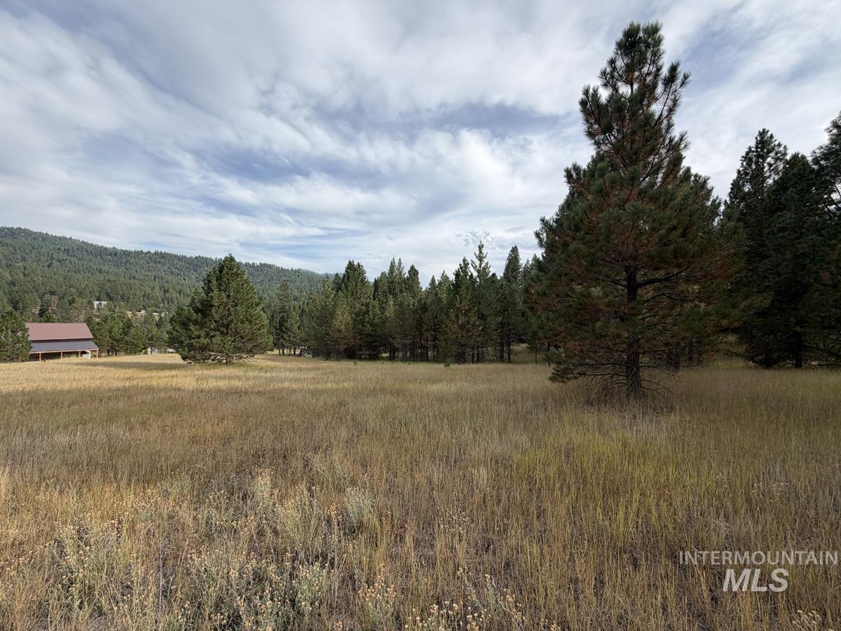 MLS #98998268 image #0