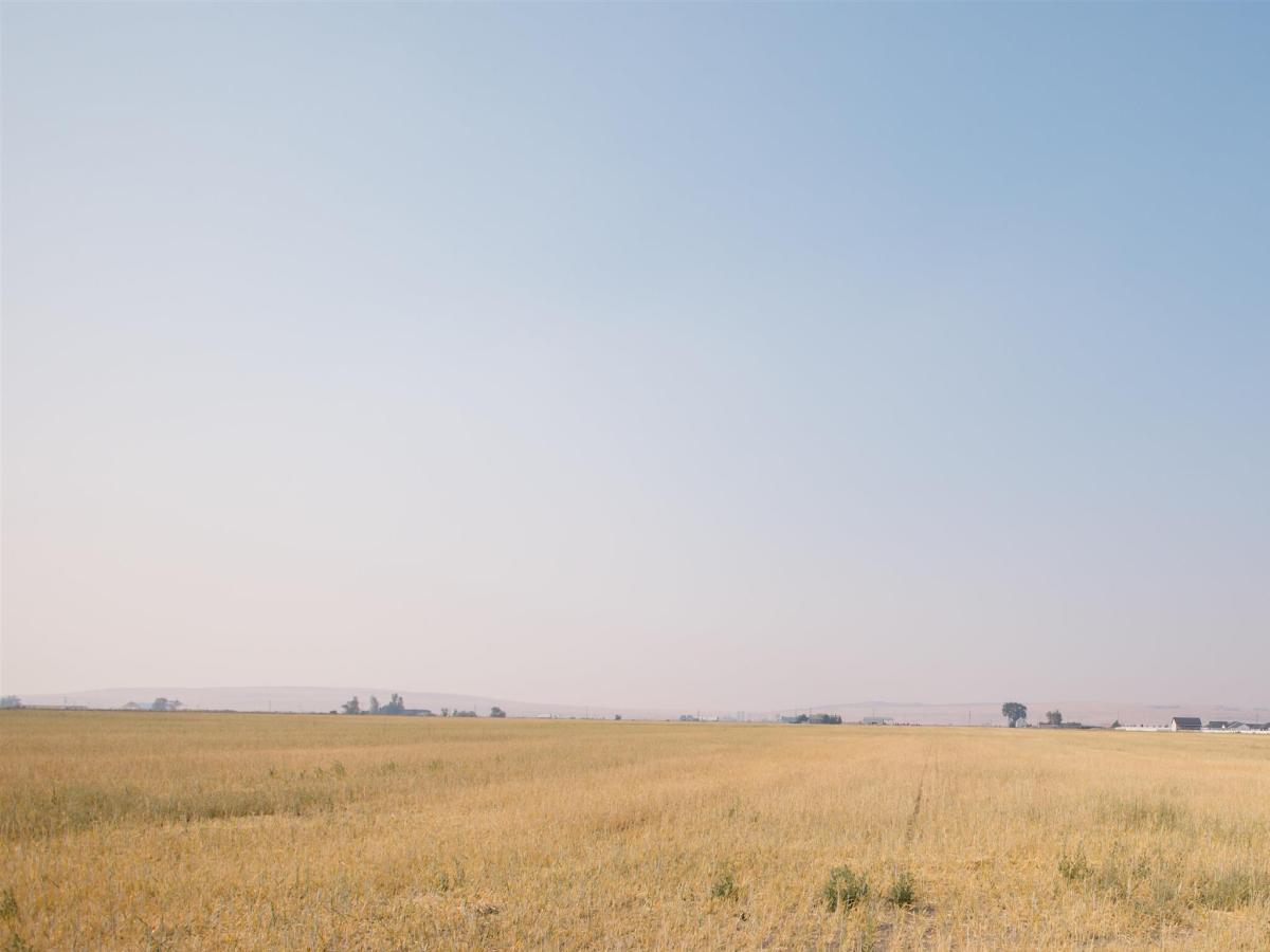 MLS #98998585 image #0