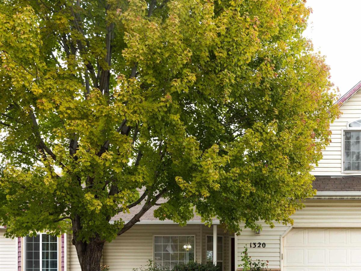 MLS #99004030 image #0